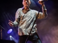 midnight oil, Vieilles Charrues 2017, Nico M Photographe-2