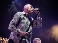 midnight oil, Vieilles Charrues 2017, Nico M Photographe-3