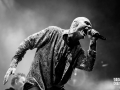midnight oil, Vieilles Charrues 2017, Nico M Photographe-7