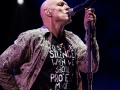 midnight oil, Vieilles Charrues 2017, Nico M Photographe-8
