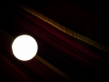 20.04, C.botanique, ambiance, Nico M Photographe-3