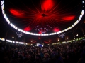 20.04, C.botanique, ambiance, Nico M Photographe-8