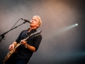 nada surf, Pont du Rock, Nico M Photographe-2
