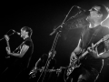 not scientists, Pont du Rock, Nico M Photographe-8