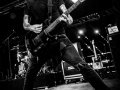 not scientists, Pont du Rock, Nico M Photographe-9