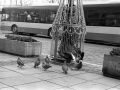 pologne, Nico M Photographe-78