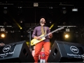 olifan & the kids - Nico M Photographe-2