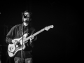oso leone,hall 3, samedi 6,  Nico M Photographe-2