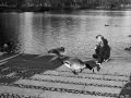 berlin, Nico M Photographe-86