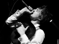 peter-doherty-Nico-M-Photographe-7