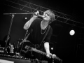peter doherty, pont du rock 2017, Nico M Photographe-10