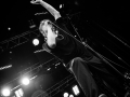 peter doherty, pont du rock 2017, Nico M Photographe-7