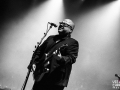 the pixies, argentique, Vieilles Charrues, Nico M Photographe-8