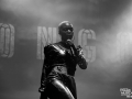 pongo - Nico M Photographe-4