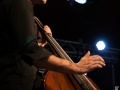 billy hornett,samedi, Au Pont du Rock 2014, Nico M Photographe-13