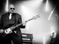 Tiggerfinger,vendredi, Au Pont du Rock 2014, Nico M Photographe-7