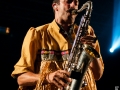 deluxe,vendredi, Au Pont du Rock 2014, Nico M Photographe-12