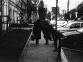 pologne, Nico M Photographe-82