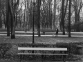 pologne, Nico M Photographe-68