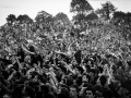 public, Nico M Photographe-12