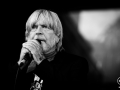 renaud, Nico M Photographe-3