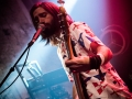 requin chagrin, vieux st etienne, dimanche, Nico M Photographe-3