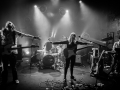 requin chagrin, vieux st etienne, dimanche, Nico M Photographe
