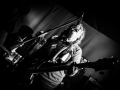 reve de chien, Nico M Photographe-9