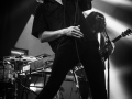 rexregis - Nico M Photographe-2