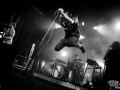 rexregis - Nico M Photographe-8