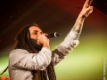 Alborosie, Nico M Photographe-7