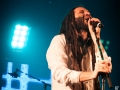 Alborosie, Nico M Photographe-9