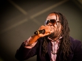 anthony B,jeudi, Rockn Solex 2015, Nico M Photographe-3.jpg