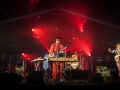 the fat badgers,jeudi, Rockn Solex 2015, Nico M Photographe-9.jpg