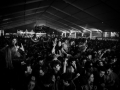 ambiance,vendredi, Rockn Solex 2015, Nico M Photographe-7.jpg