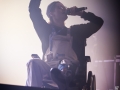 salut c est cool,vendredi, Rockn Solex 2015, Nico M Photographe-2.jpg