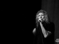 Robert Plant & the sensational Space Shifters - Nico M Photographe-2