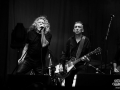 Robert Plant & the sensational Space Shifters - Nico M Photographe