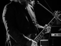 concert inspector cluzo, Nico M Photographe-5