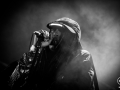 rocky, Nico M Photographe-5