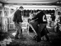 benevoles, vendredi , Roi Arthur, Nico M Photographe-5