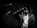 Scarecrow,Lancelot, samedi, Roi Arthur, Nico M Photographe-12