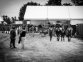 public, samedi, Roi Arthur, Nico M Photographe-5