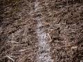le calme avant la tempete, vendredi , Roi Arthur, Nico M Photographe-5