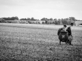 camping, vendredi , Roi Arthur, Nico M Photographe-2