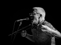 rouge gorge, mercredi, aire libre, Nico M Photographe-4