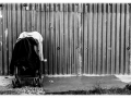 solitude-nico-m-photographe