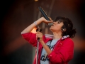 Soom T,Vieilles Charrues, vendredi, Nico M Photographe-6