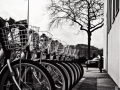 sortie nantes, Nico M Photographe-10
