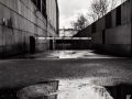 sortie nantes, Nico M Photographe-11